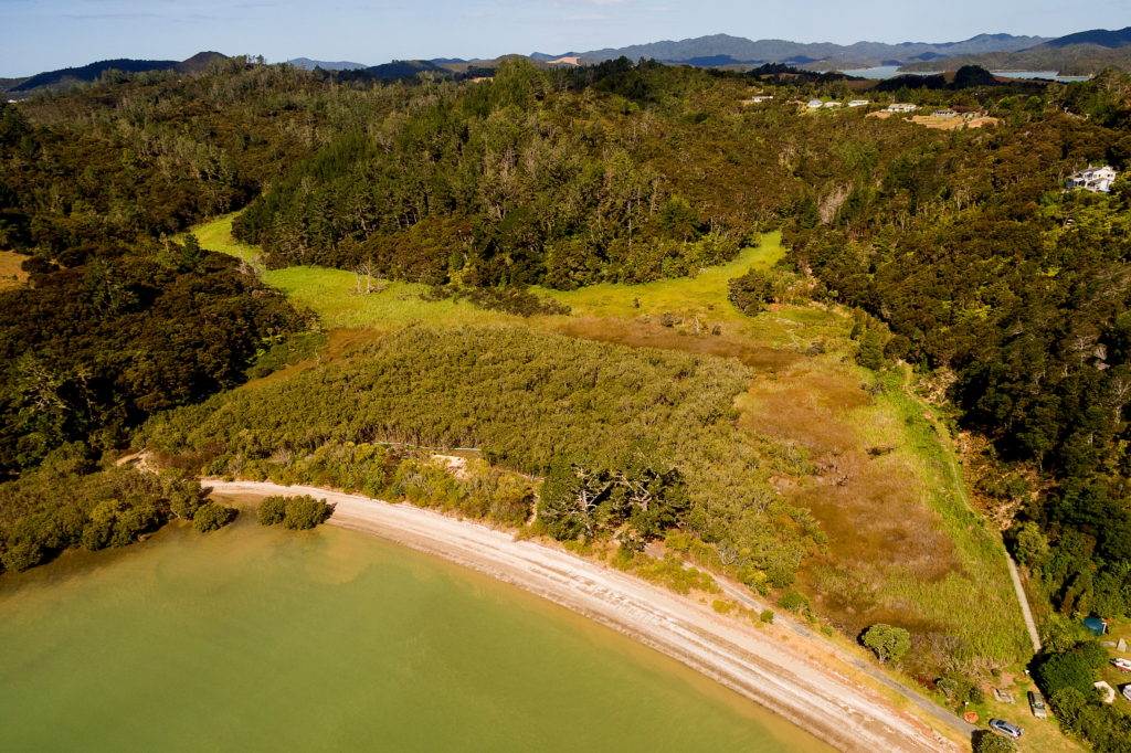 Pipiroa coastal wetland and its largely vegetated catchment